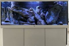 450-Liter-Mbuna-Felszone-25