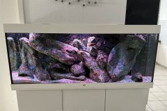 450-Liter-Mbuna-Felszone-31
