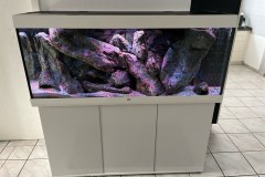 450-Liter-Mbuna-Felszone-32