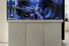 450-Liter-Mbuna-Felszone-33