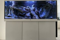 450-Liter-Mbuna-Felszone-34