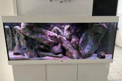 450-Liter-Mbuna-Felszone-36