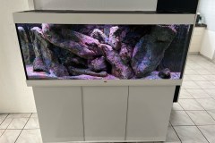 450-Liter-Mbuna-Felszone-37