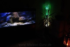 540-Liter-Nonmbuna-Dezember-2011-100