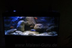 540-Liter-Nonmbuna-Dezember-2011-104