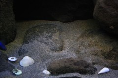 540-Liter-Nonmbuna-Dezember-2011-128