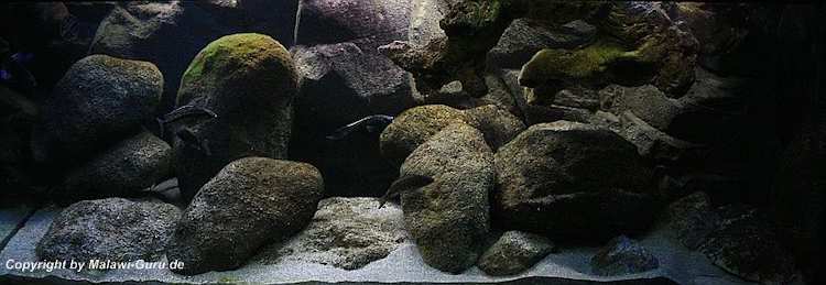 540-Liter-Nonmbuna-2009-201