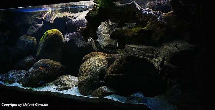 540-Liter-Nonmbuna-2009-207