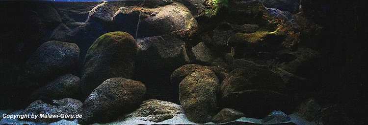 540-Liter-Nonmbuna-2009-210