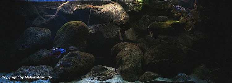 540-Liter-Nonmbuna-2009-211