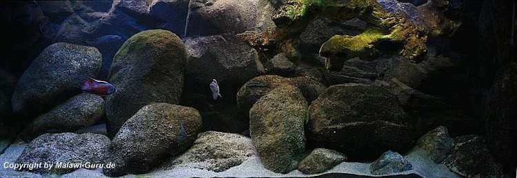 540-Liter-Nonmbuna-2009-212