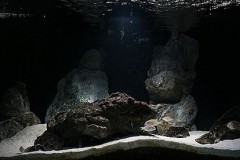 560-Liter-Sandzone-Aquarium