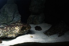560 Liter Becken aus der Sandzone