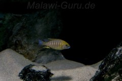 560-Liter-Sandzone-62