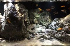 Mbuna-Felszone-560-Liter-201