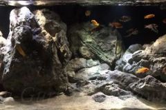 Mbuna-Felszone-560-Liter-205