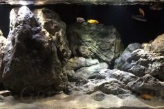 Mbuna-Felszone-560-Liter-206