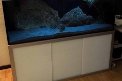 Nonmbuna-Sandzone-576-Liter-30
