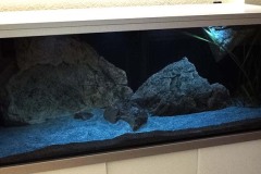 Nonmbuna-Sandzone-576-Liter-40
