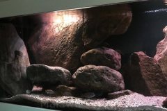 576-Liter-MbunaNonmbuna-81