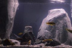 576-Liter-Nonmbuna-11