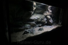 Sandzone-576-Liter-301