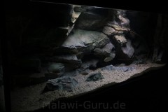 Sandzone-576-Liter-303