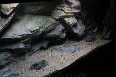 Sandzone-576-Liter-304