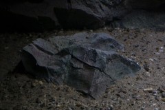 Sandzone-576-Liter-305