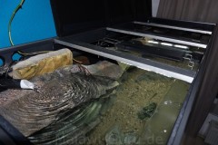 Sandzone-576-Liter-306