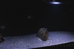 576-Liter-Sandzone-21