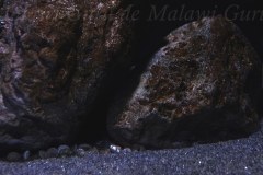 576-Liter-Sandzone-23