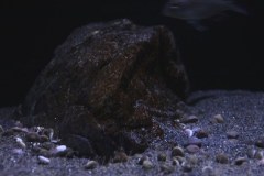 576-Liter-Sandzone-25