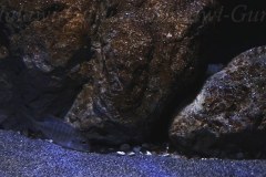 576-Liter-Sandzone-31
