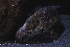 576-Liter-Sandzone-32