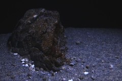 576-Liter-Sandzone-33