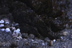 576-Liter-Sandzone-34