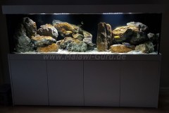 600-Liter-MbunaNonmbuna-2018-200