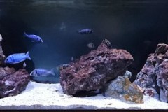 600 Liter Übergangszone Nonmbuna Becken