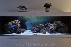 600 Liter Übergangszone Nonmbuna Becken