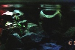 Mbuna-638-Liter-703