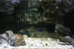 648-Liter-Nonmbuna-Uebergangszone-01