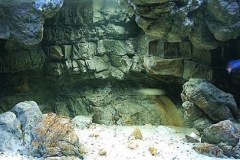 648-Liter-Nonmbuna-Uebergangszone-02