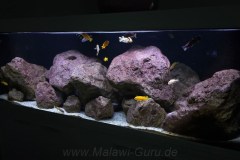 648-Liter-Felszone/Stein-Nachbildungen-Aquarium
