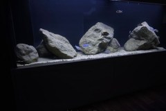 Nonmbuna-648-Liter-12