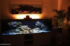 660-Liter-leichte Übergangszone-Aquarium