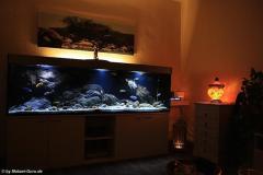 660-Liter-Uebergangszone-Jahr-2014-002-1