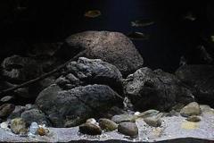 660-Liter-Uebergangszone-Jahr-2014-003-1