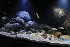 660-Liter-Uebergangszone-Jahr-2014-016-1
