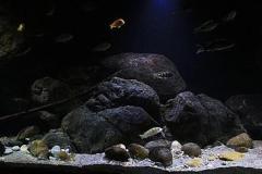660-Liter-Uebergangszone-Jahr-2014-017-1